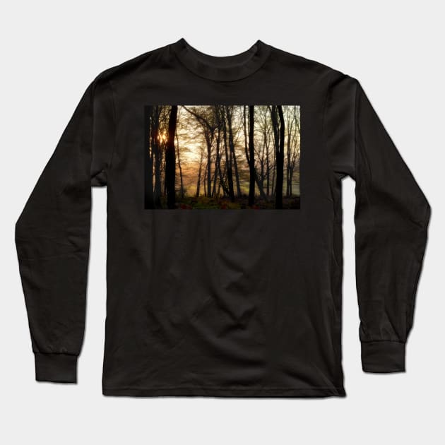 Woodland Sunset Long Sleeve T-Shirt by heidiannemorris